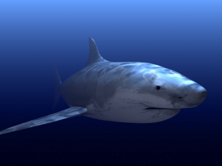 Great White Shark preview image 1